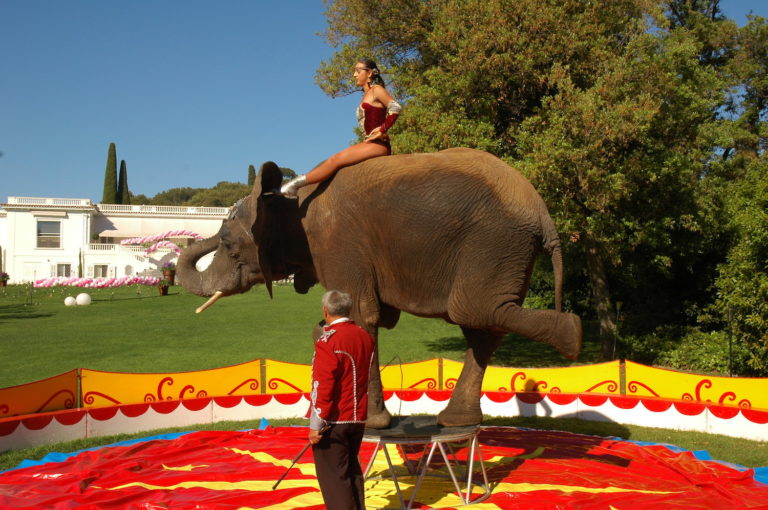 PRIVATE CIRCUS FOR KIDS BIRTHDAY