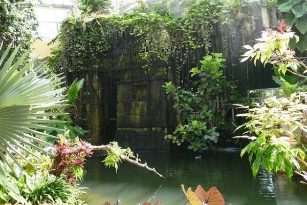 TROPICAL GREENHOUSE