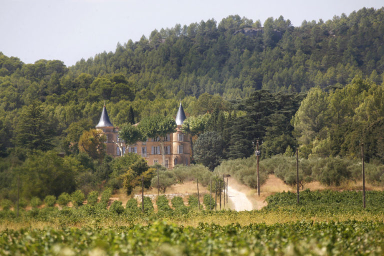 Princess Castle for kids birthday in Provence