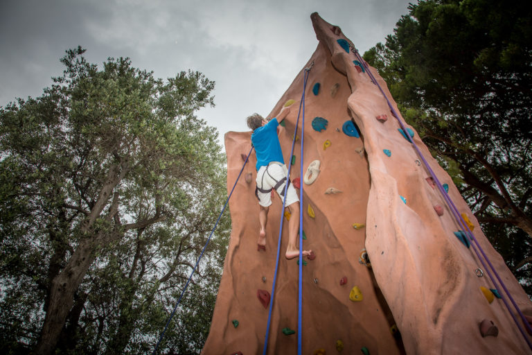 CLIMBING WALL