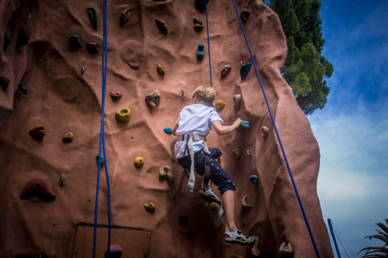 CLIMBING WALL